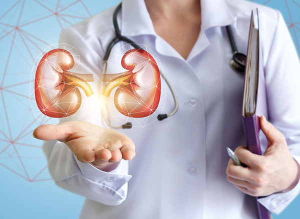 Nephrology Department